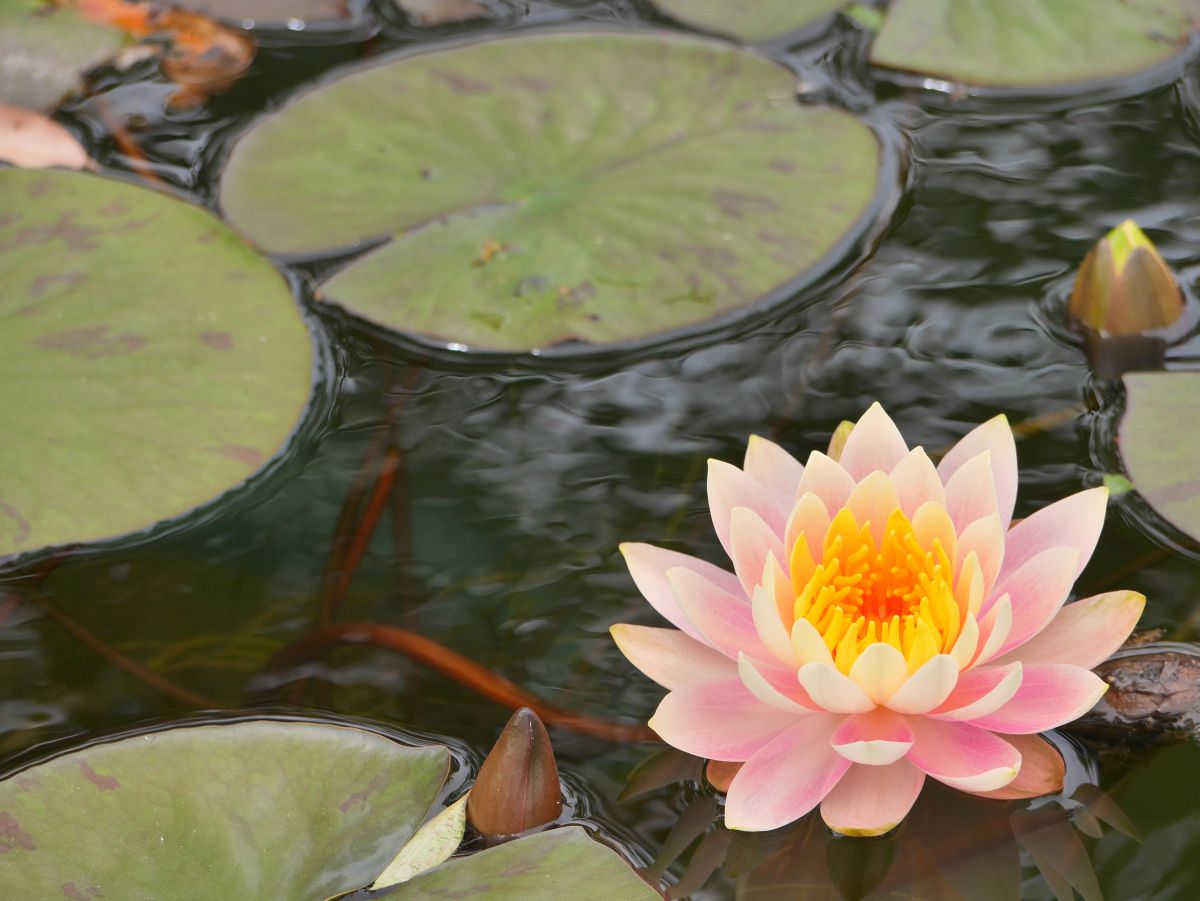 f4e931d79d904386544619b40cf8f3