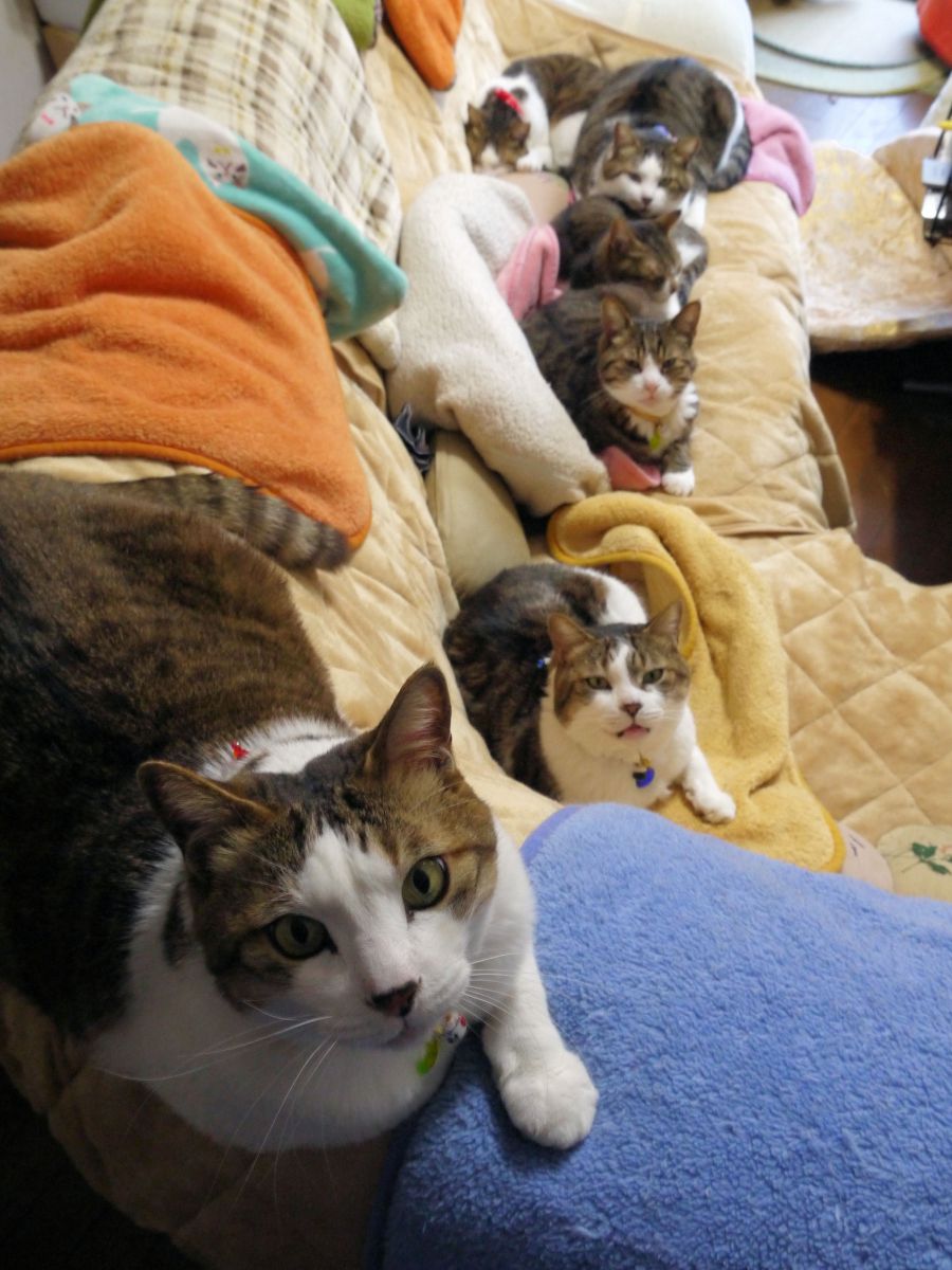 全員集合!これ、何の行列ですか?^^; GANREF