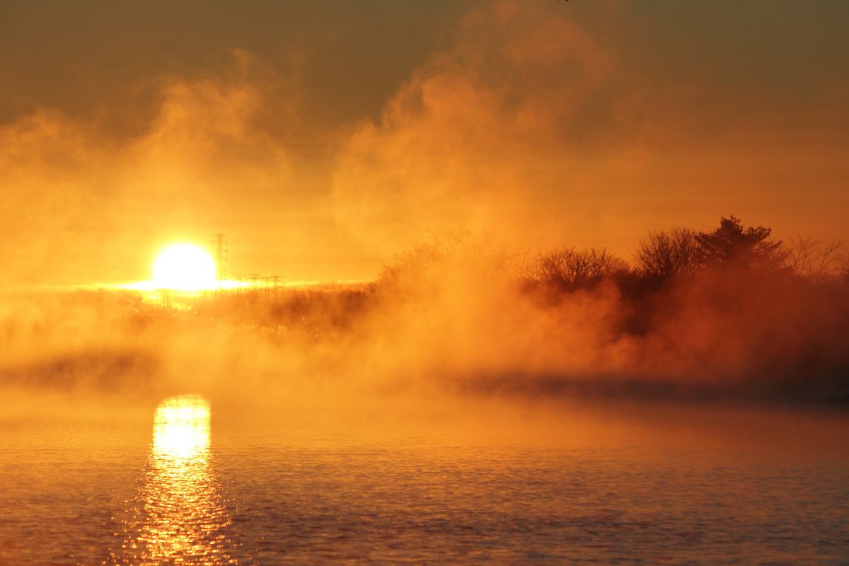 送料無料　原画「朝もやの海辺」 朝もやの中の輝き | GANREF
