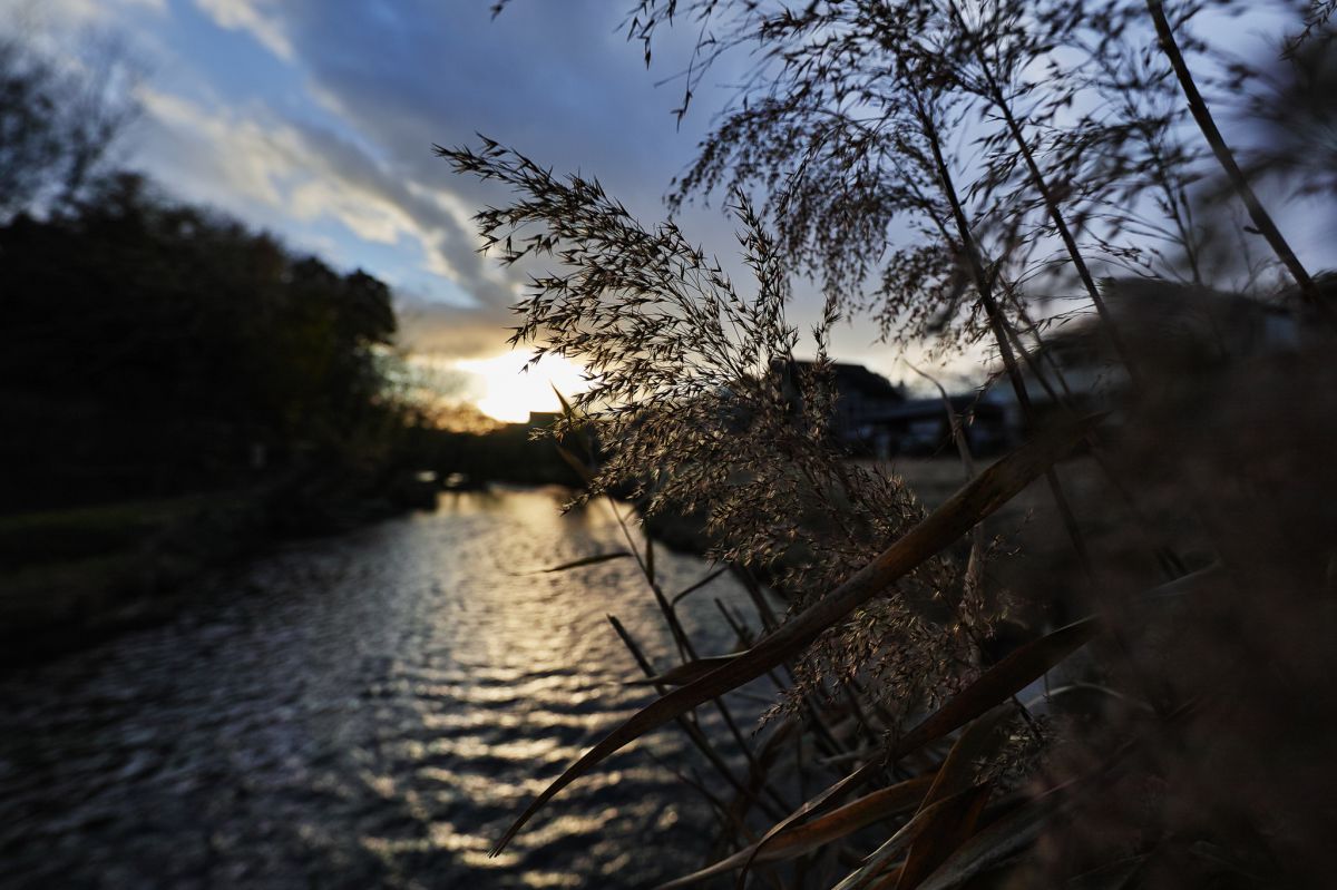 黄昏れ夕暮れ~秋の終わり~ | GANREF