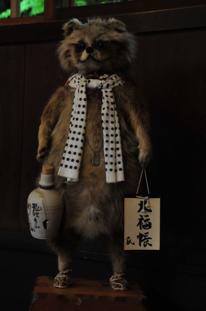 狸の剥製 本物 あつい 狸の剥製 本物 あつい