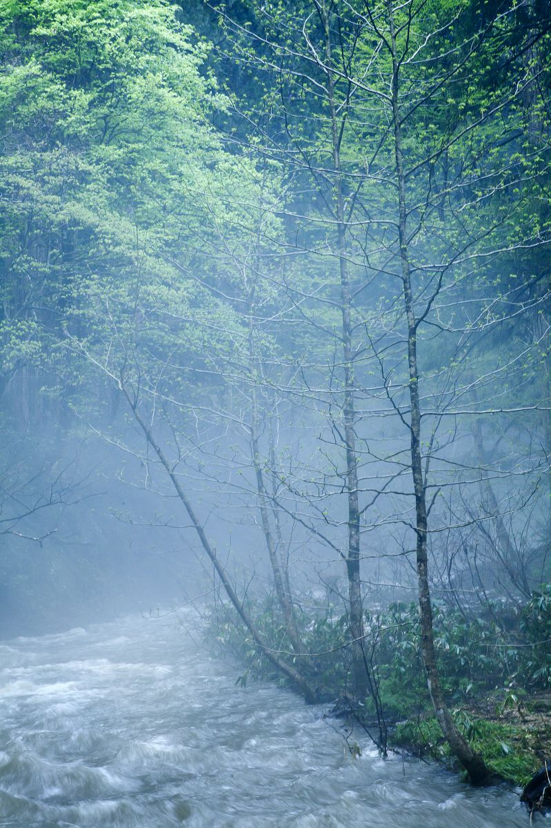 霧雨の幻影 | GANREF