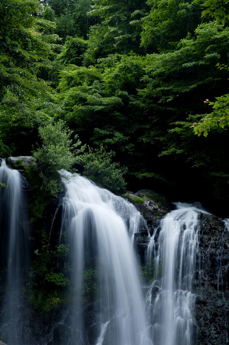 【真作】掛軸　滝のある山水画　静寂な自然の情景　渓流と滝　合箱入　Q193 冬の滝（水墨画Ver） | GANREF