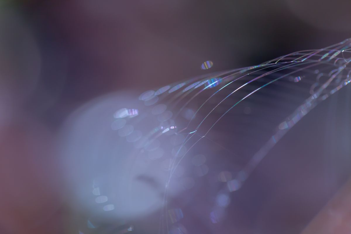 Strings | GANREF