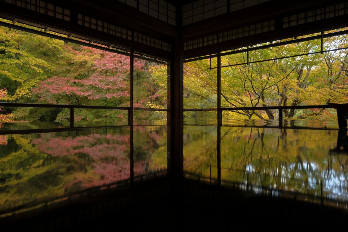 color reflection | GANREF