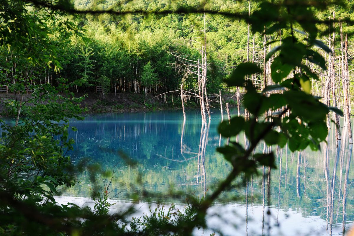 blue | GANREF