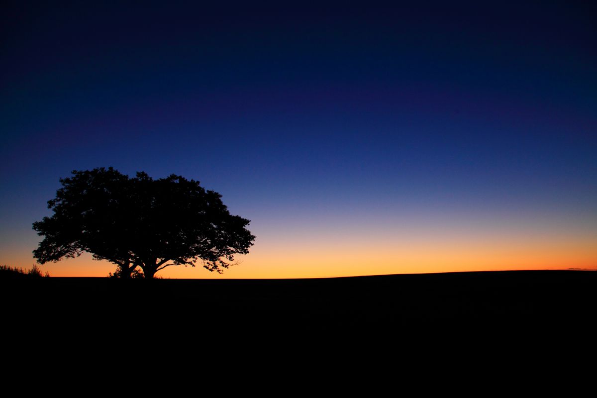 at sunset | GANREF