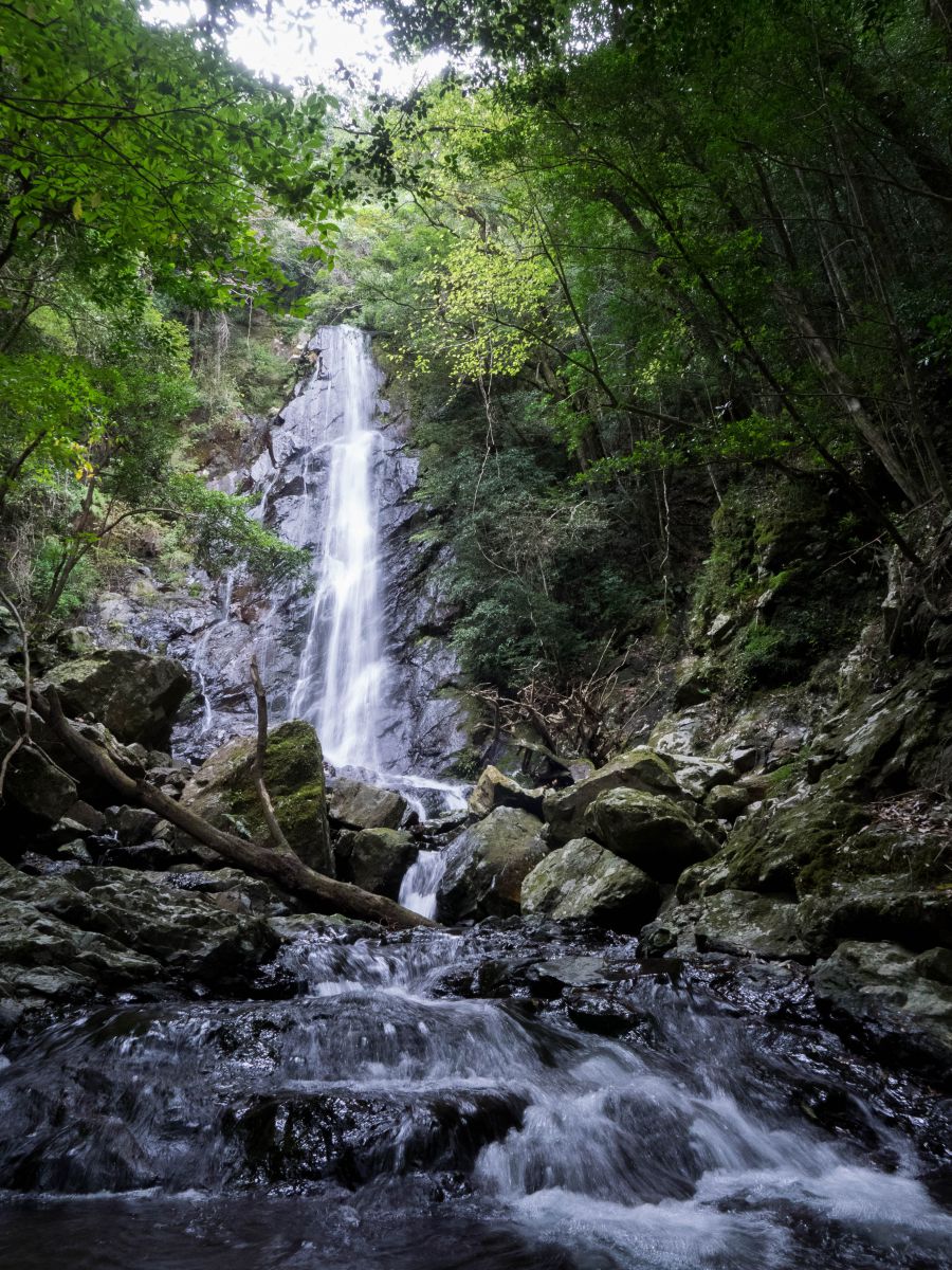 滝 SS24-KUD0GZ-99X_F1.webp?v=