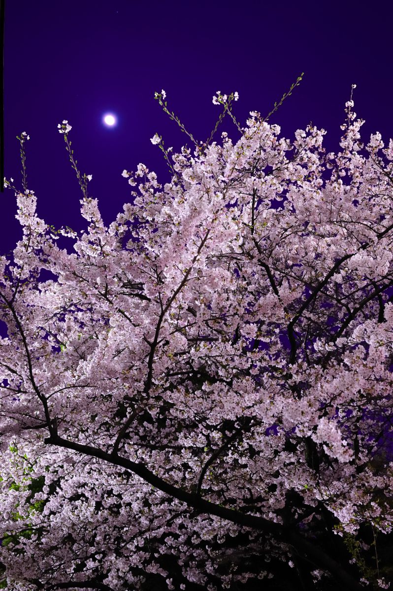 42e73836a5f7bbf973be9c54d88e79