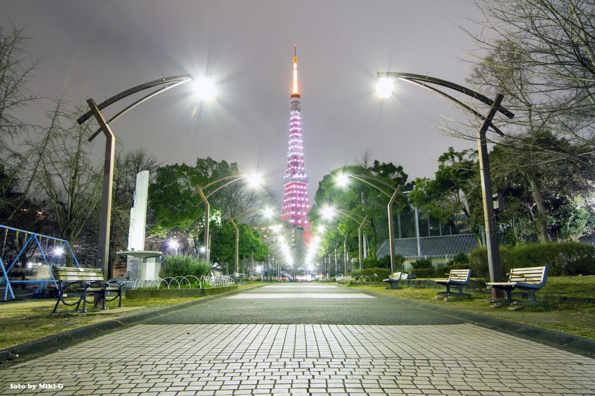 芝 公園 4 号 地
