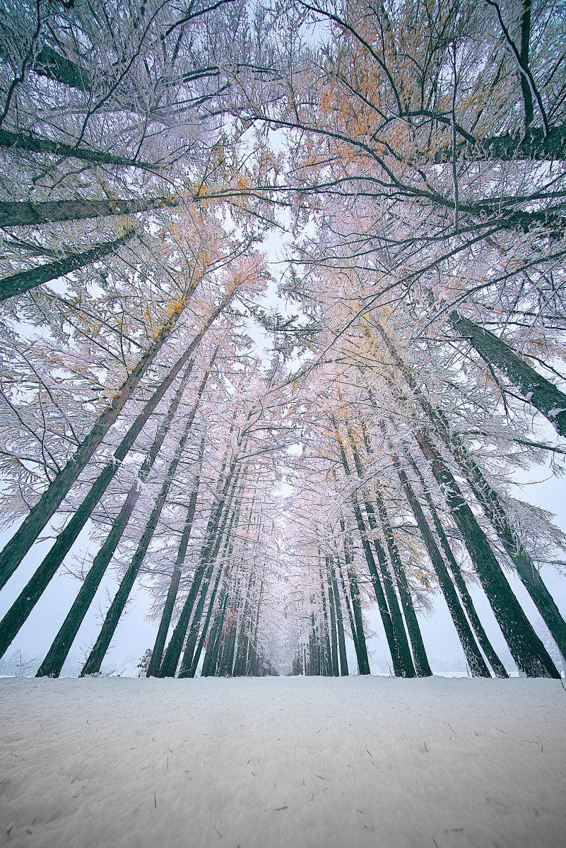 Road to Winter | GANREF