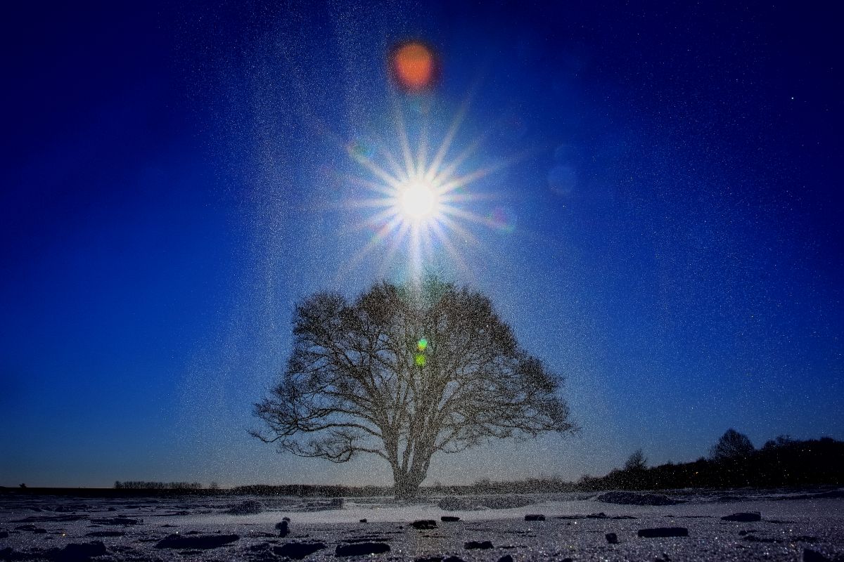 Goodbye Winter | GANREF