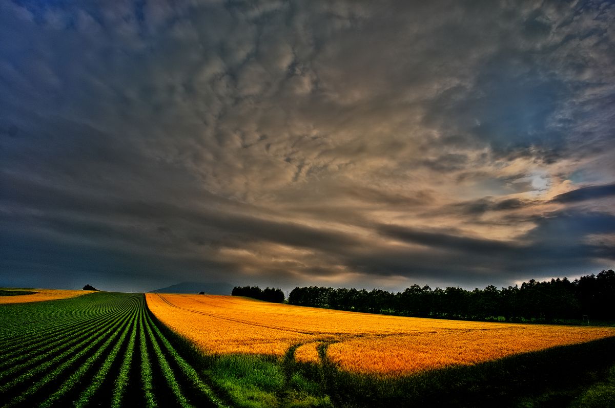 鈍色の空 | GANREF