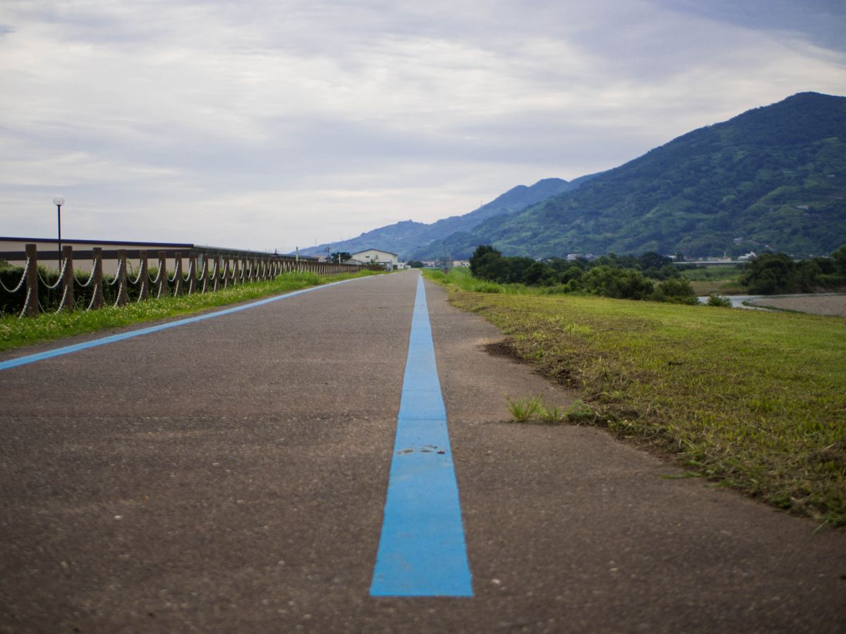 Blue line | GANREF