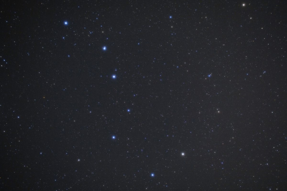 廃盤 超希少 ヴィヴィアン Constellation 北斗七星 大三角形