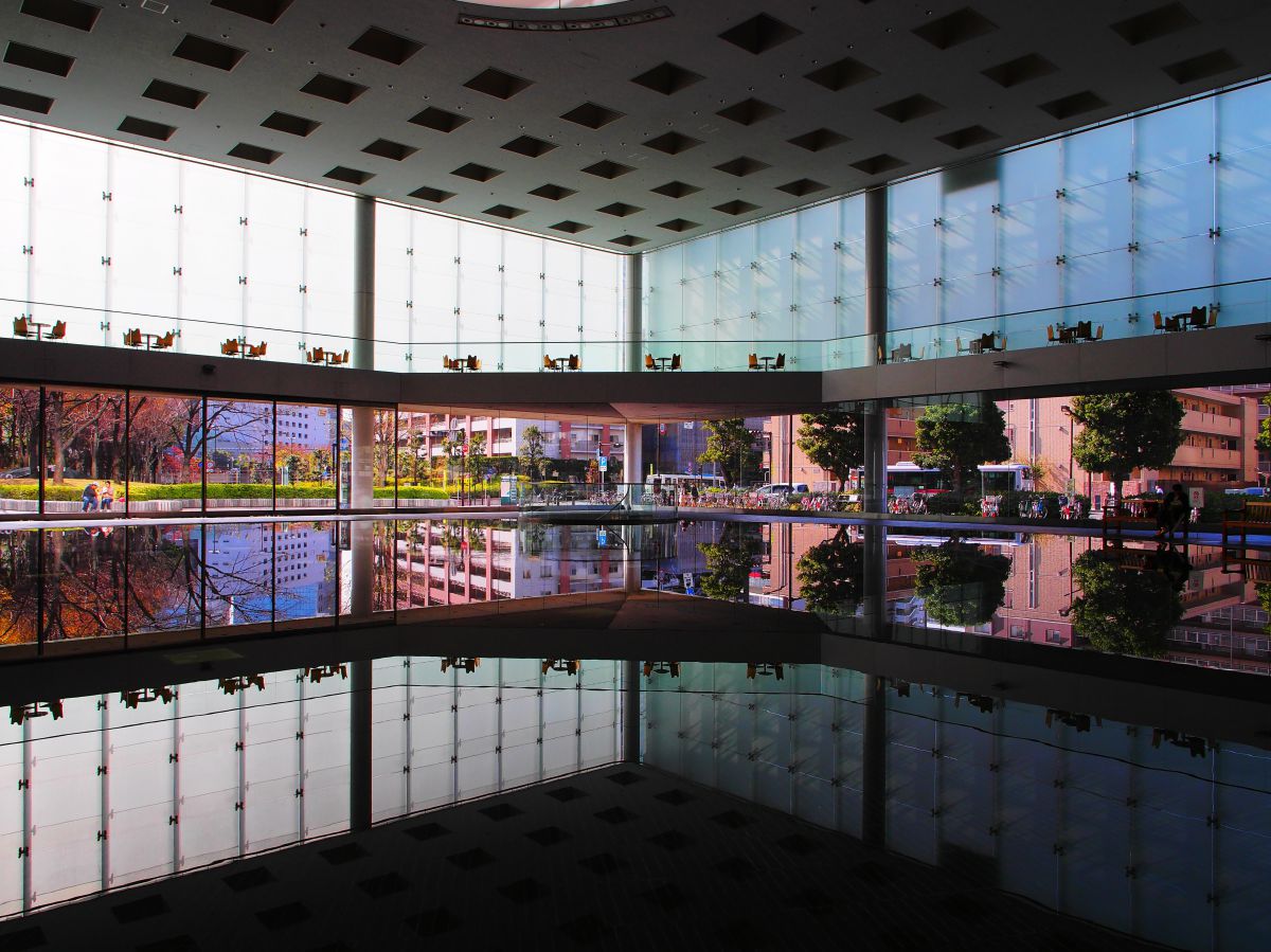 reflection | GANREF