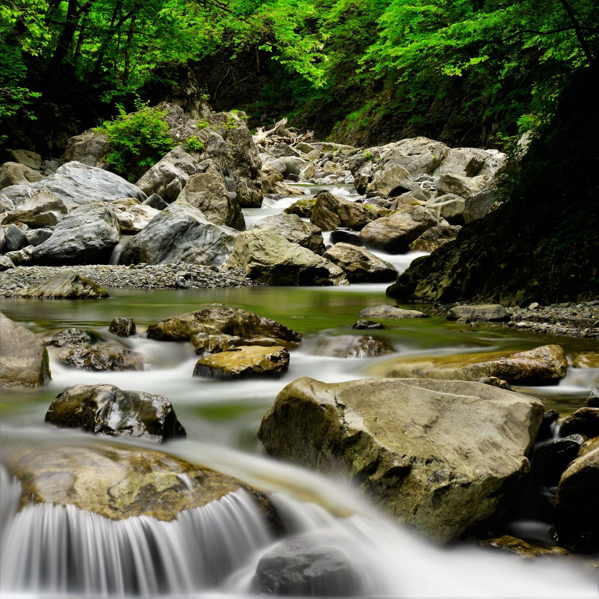 Early summer of flow | GANREF