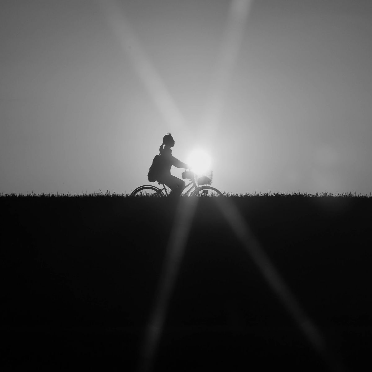 sunset | GANREF