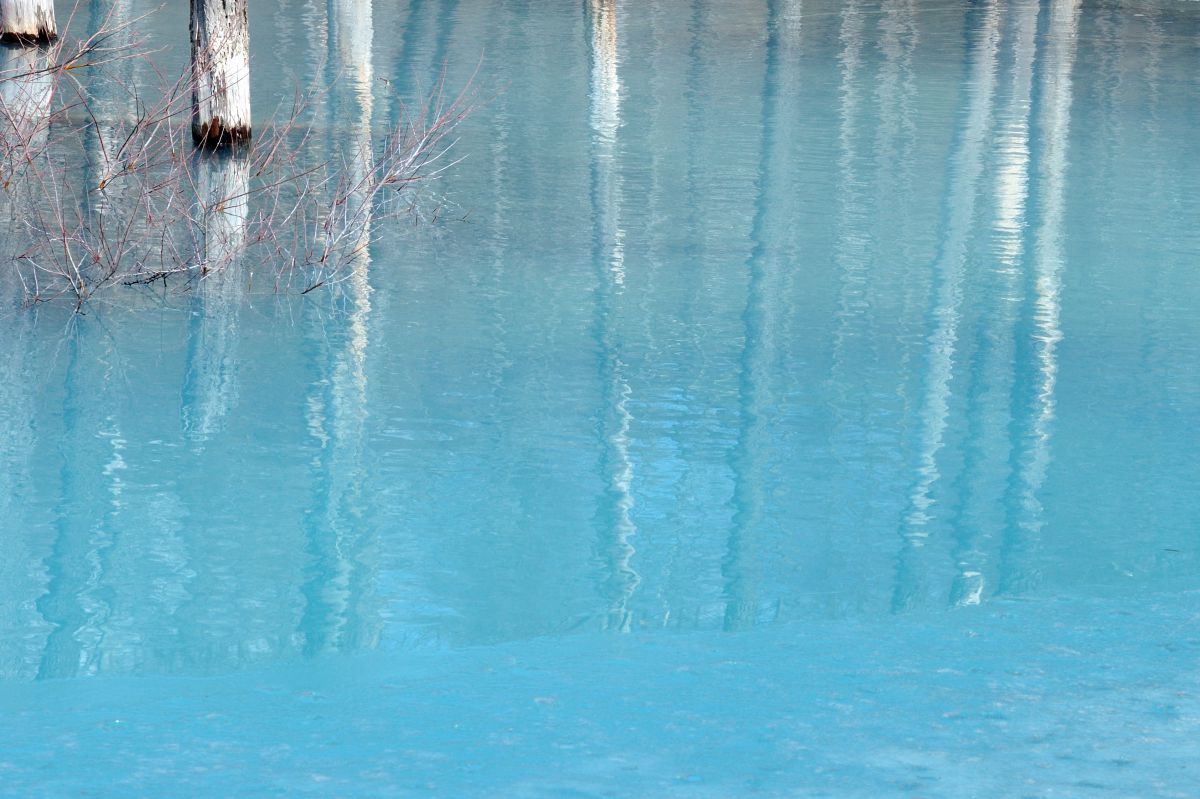 light blue | GANREF