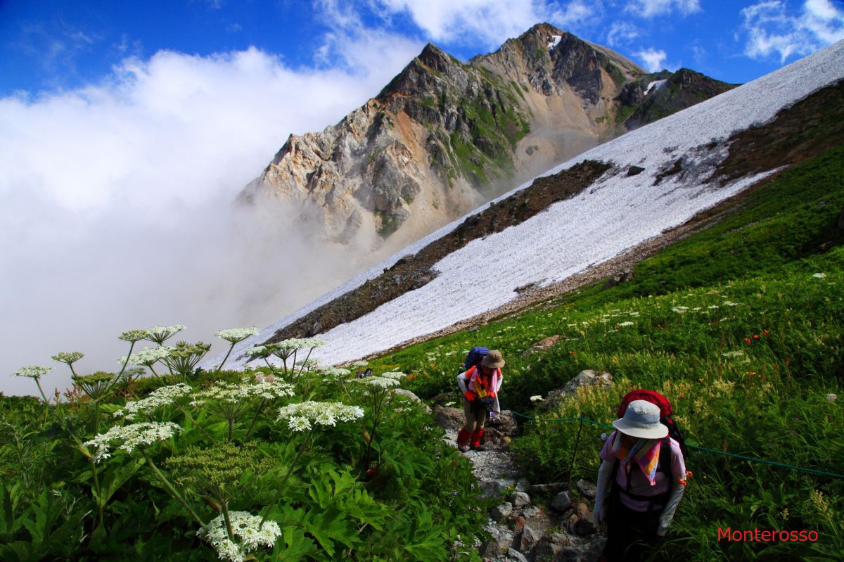 夏山を行く GANREF