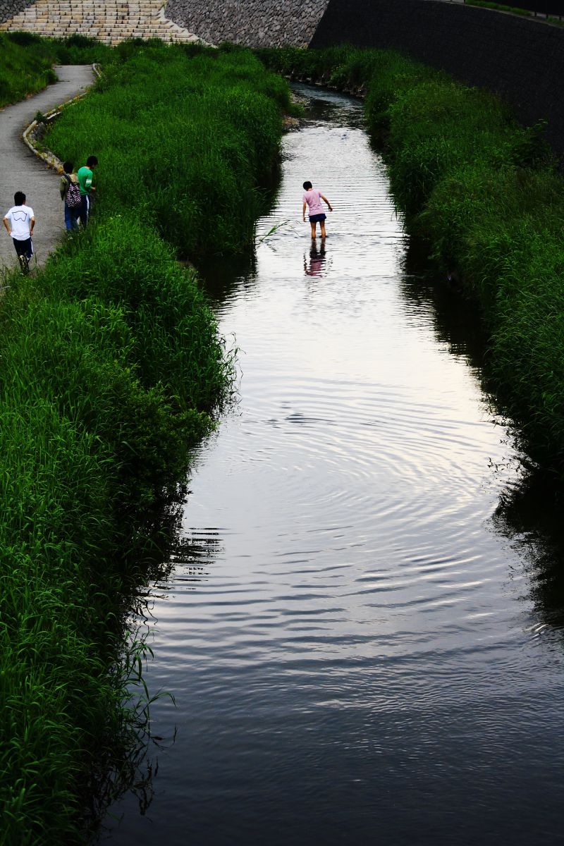 我が町の川 GANREF