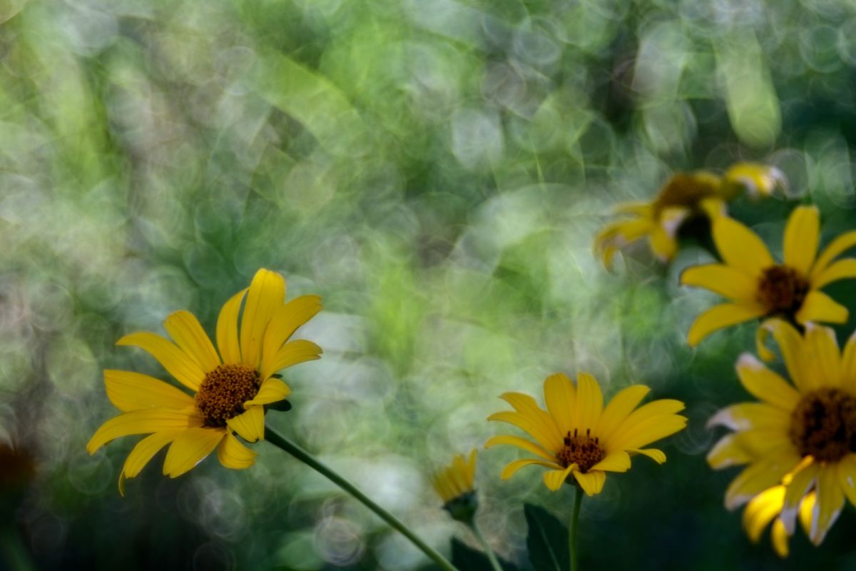 6b754602a70e40af25dae8fa90111b