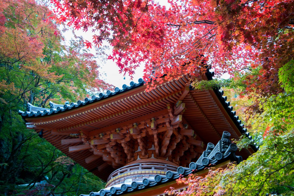 大威徳寺の紅葉② GANREF