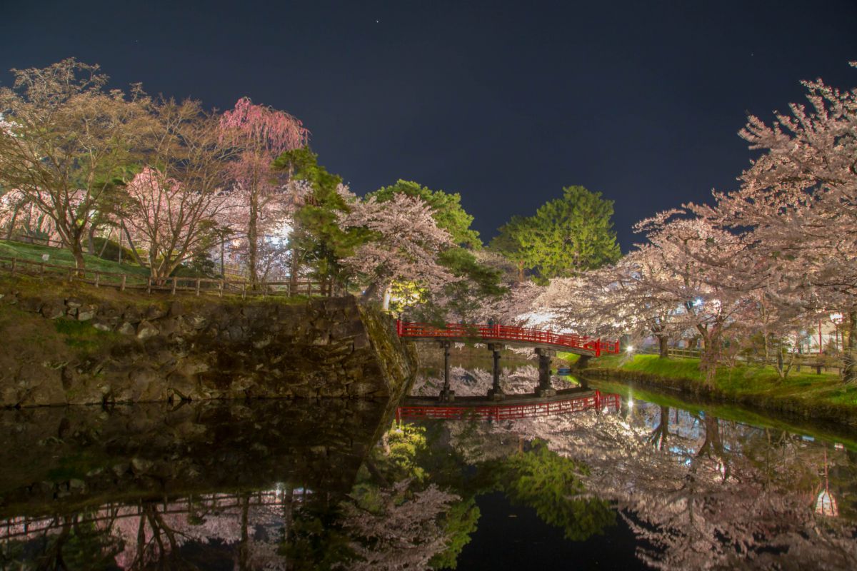reflection | GANREF