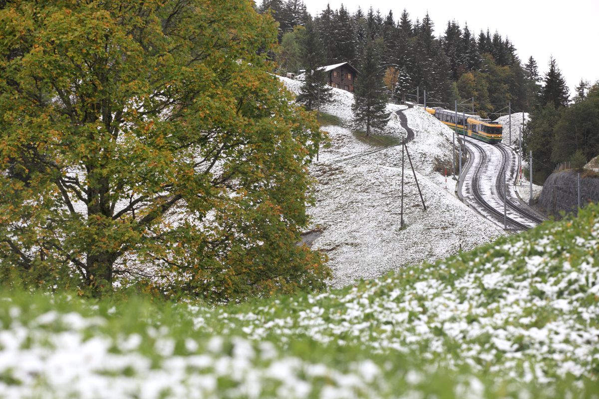 ヴェンゲルンアルプ鉄道(2) GANREF