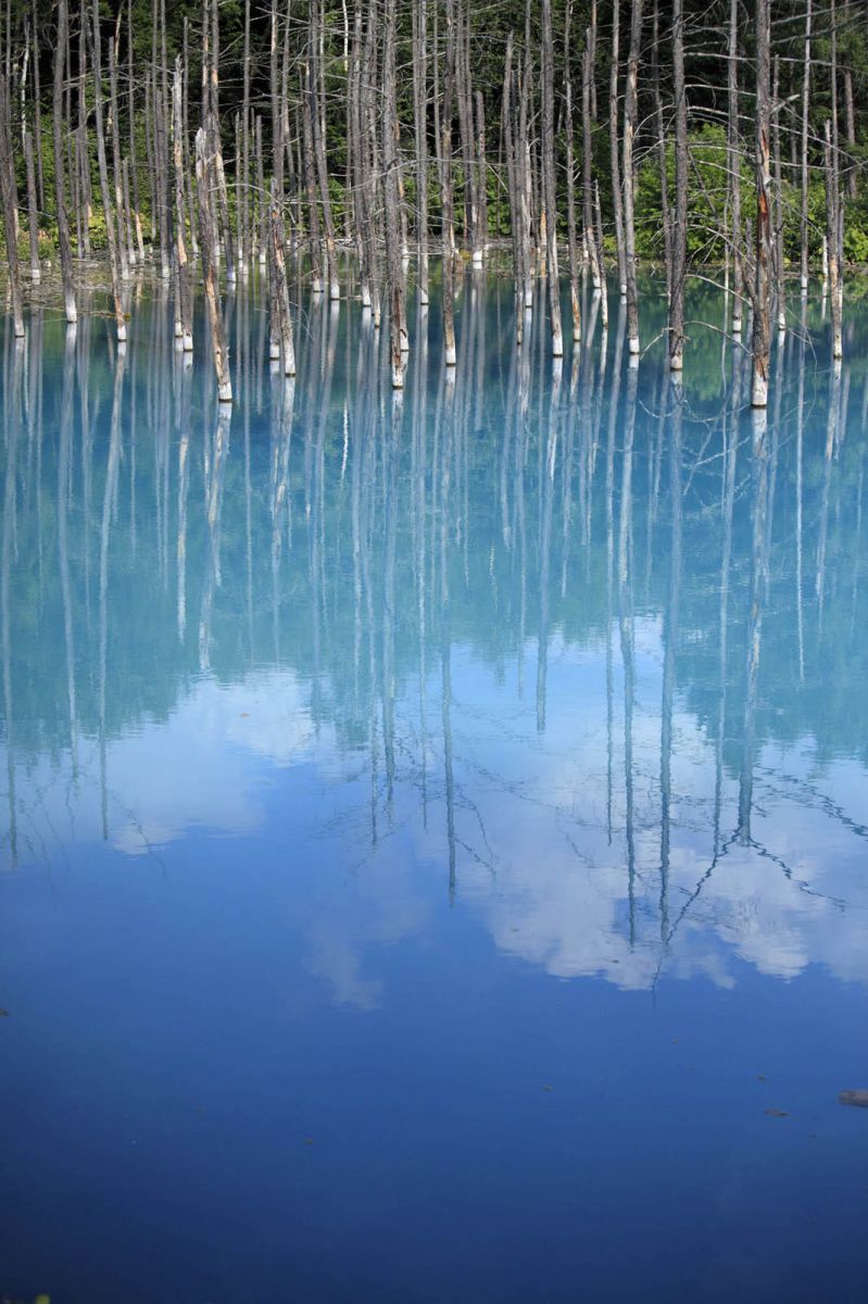 BLUE blue | GANREF