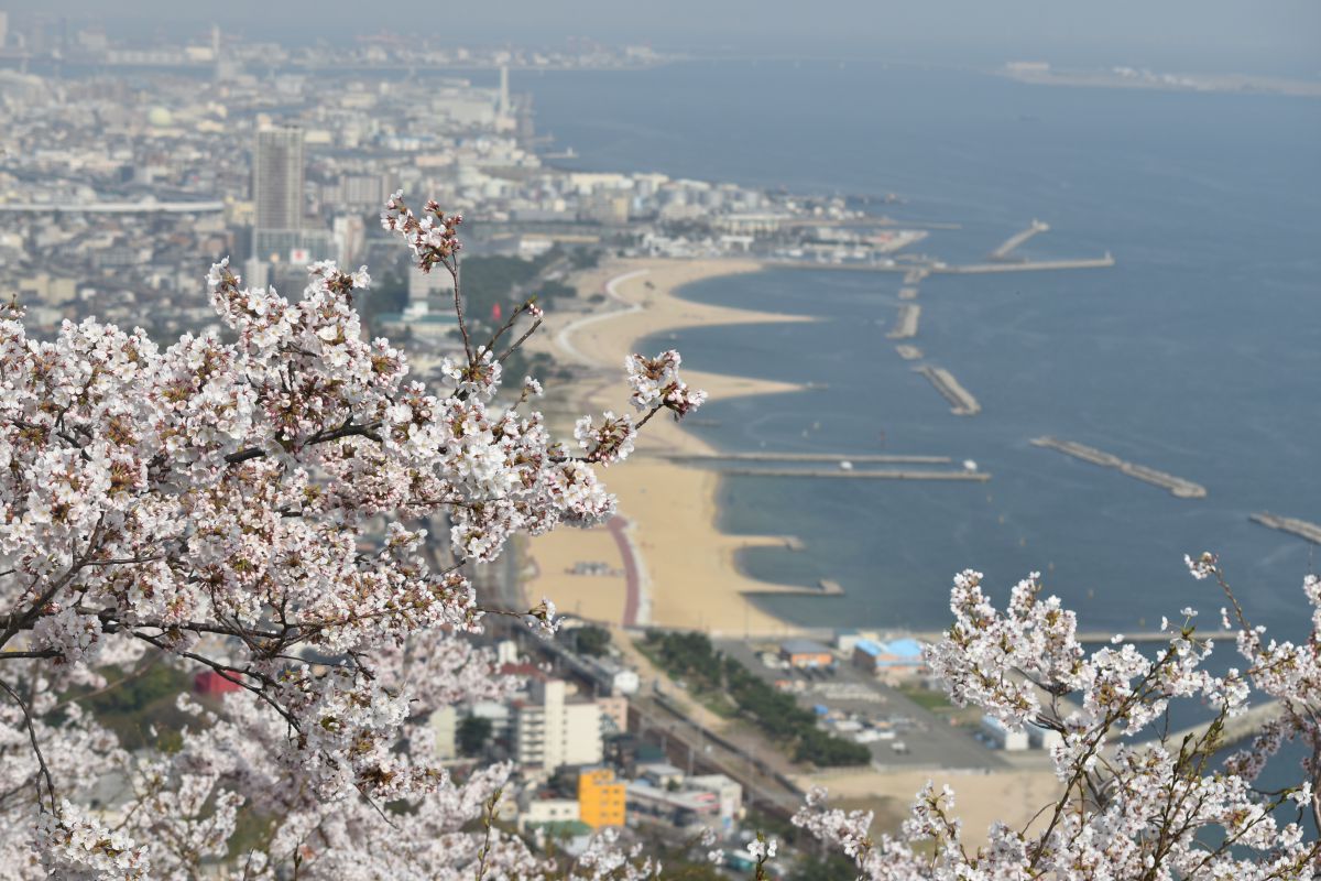 須磨浦公園 GANREF