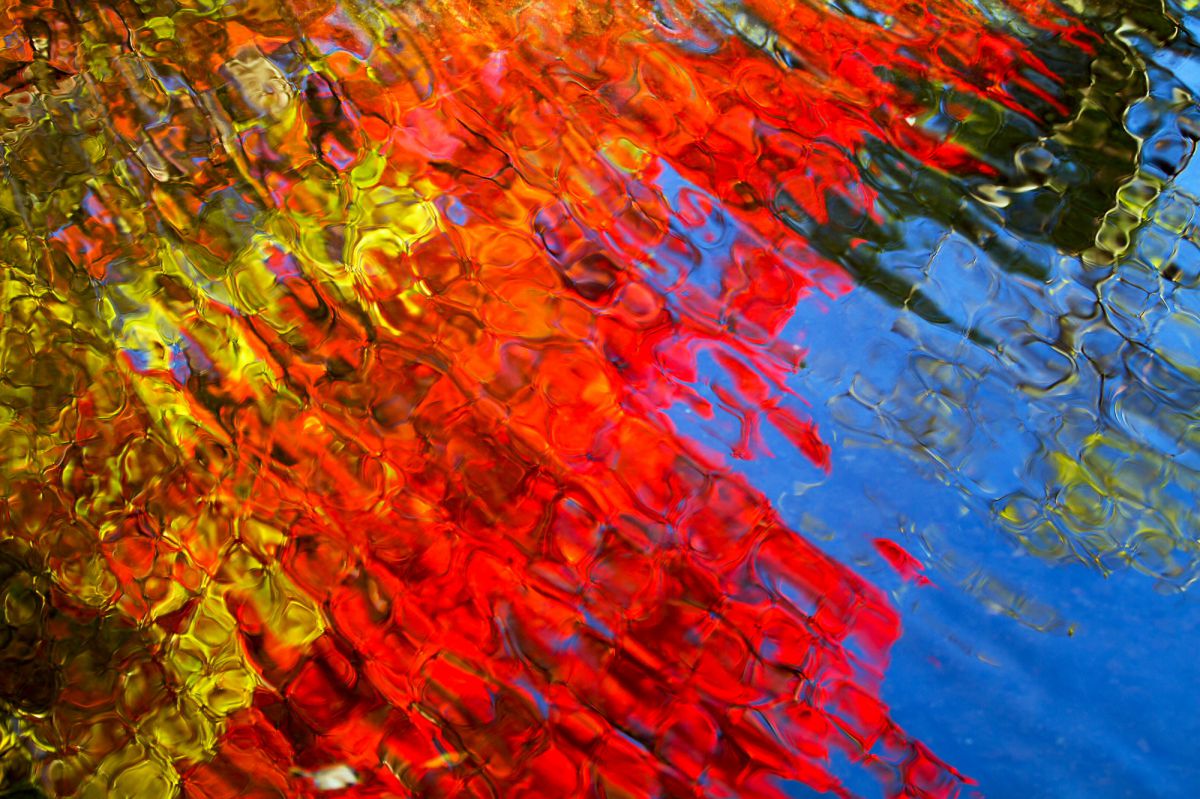 Melting autumn | GANREF