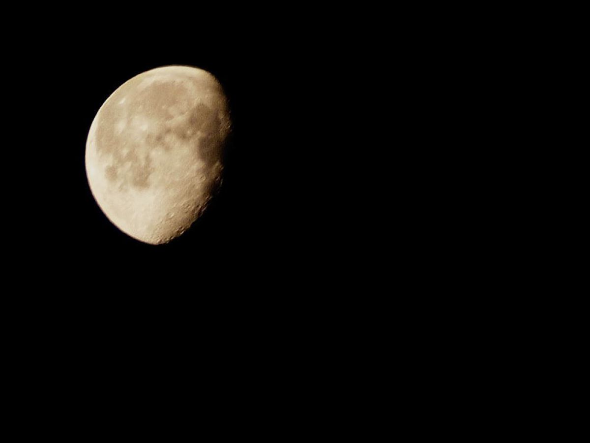Moon | GANREF