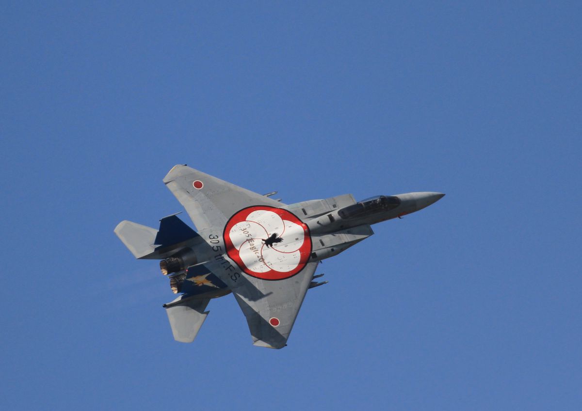 F-15イーグル特別塗装機 | GANREF