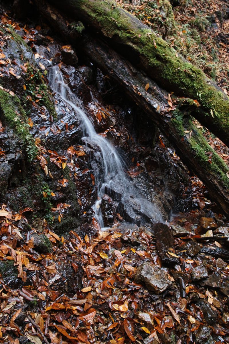 a little flow | GANREF