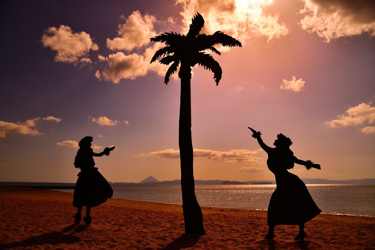 影絵の祭典四部作 ヤシの木とフラ 自然 風景 海 Ganref