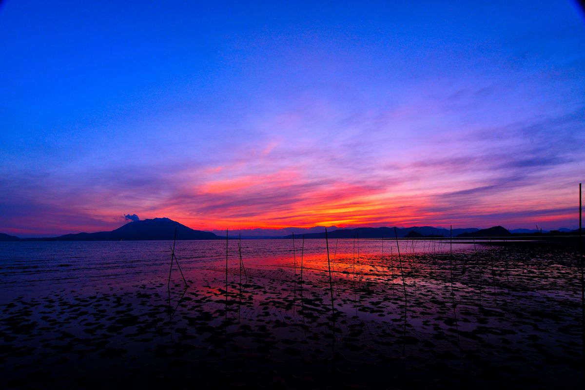 62610de45bbdd428bc0d0d3dec808e