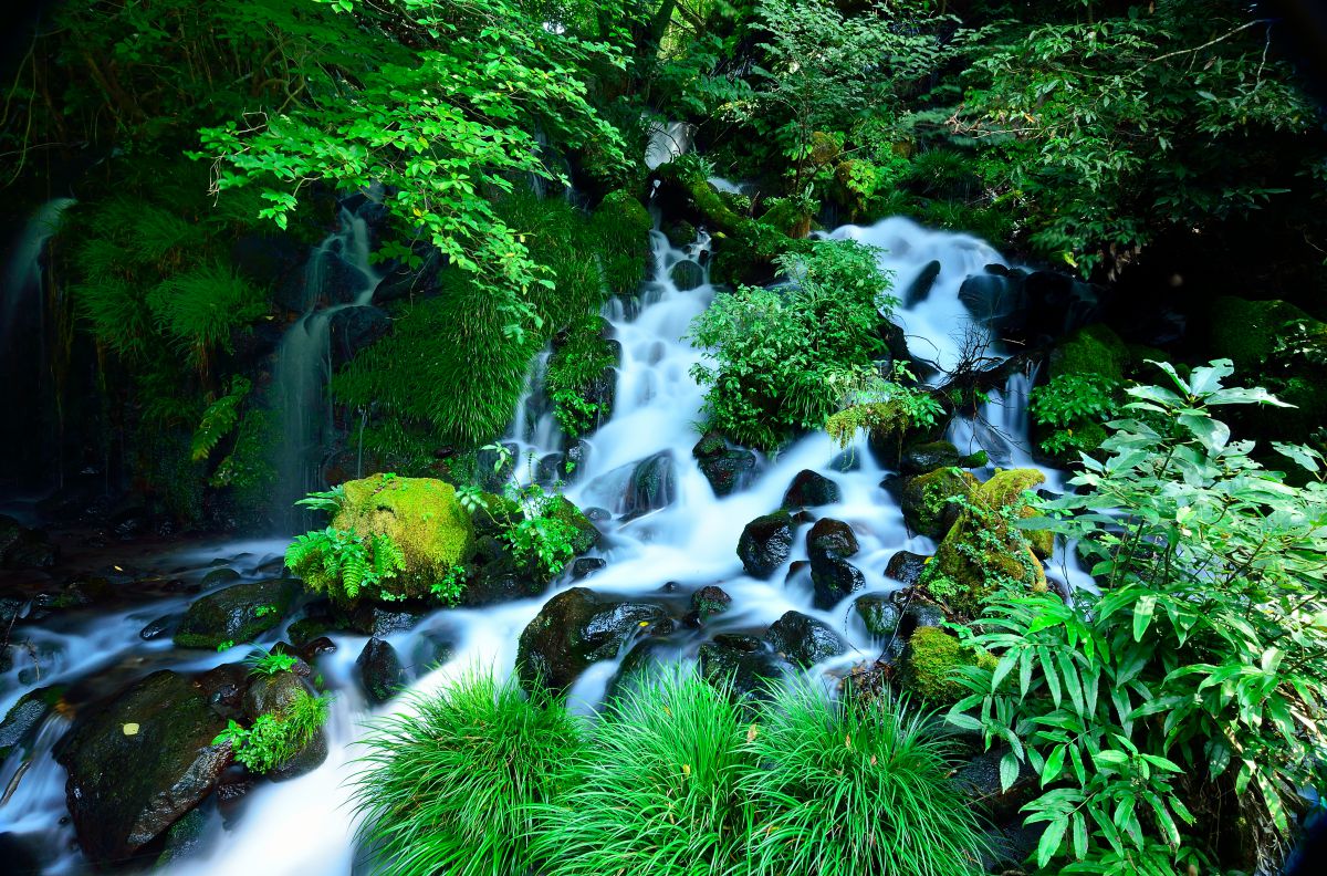 【真作】掛軸　滝のある山水画　静寂な自然の情景　渓流と滝　合箱入　Q193 真作】掛軸 滝のある山水画 静寂な自然の情景 渓流と滝 合箱入 Q193 真