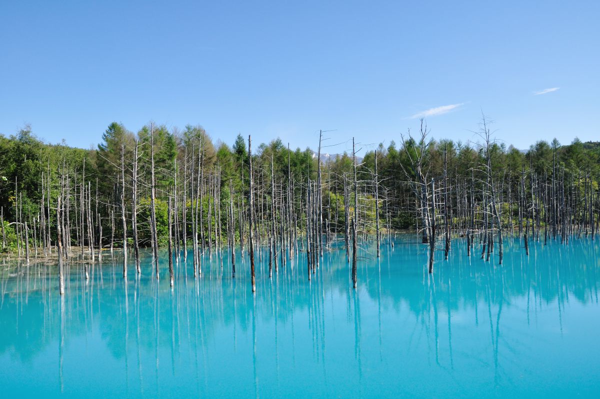 Blue | GANREF