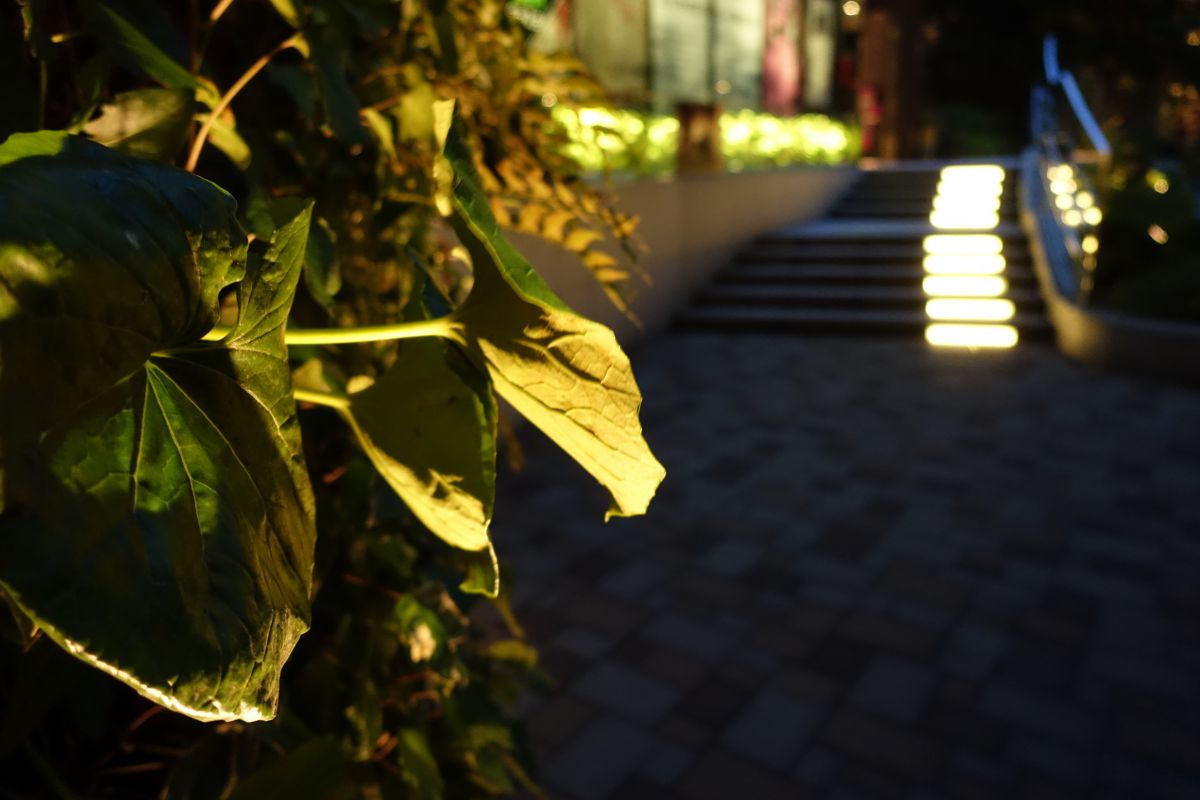 Light up leafs | GANREF