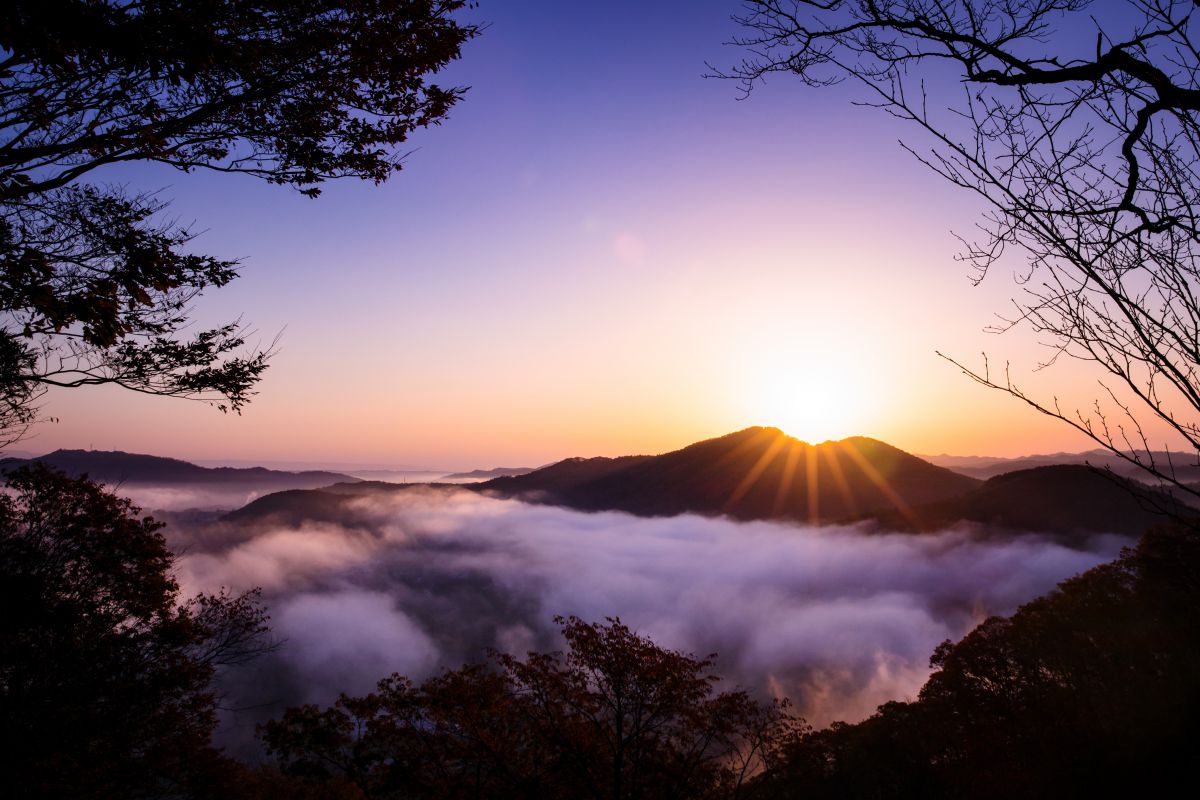 鎌倉山 雲海 16 Ganref 鎌倉山 雲海 16 Ganref