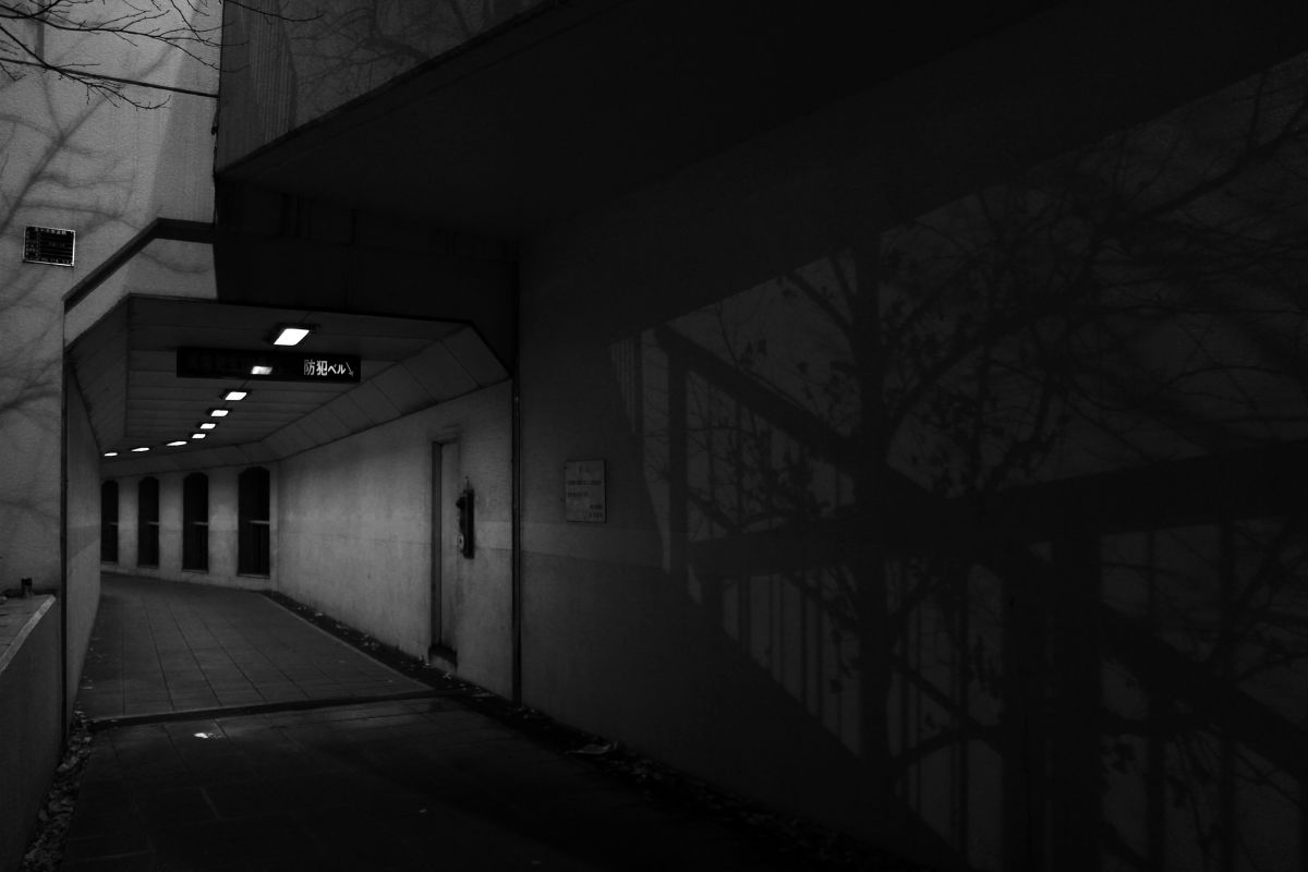 the GATE to shadowness | GANREF