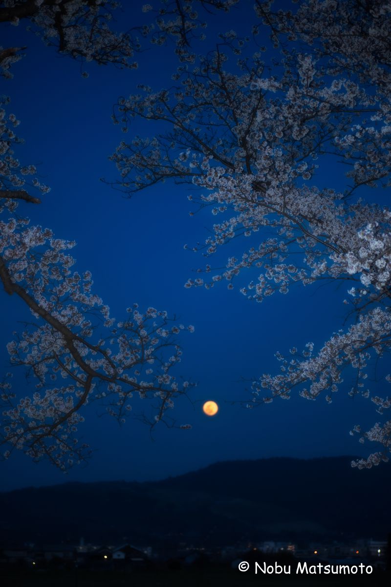 Blue Moon | GANREF