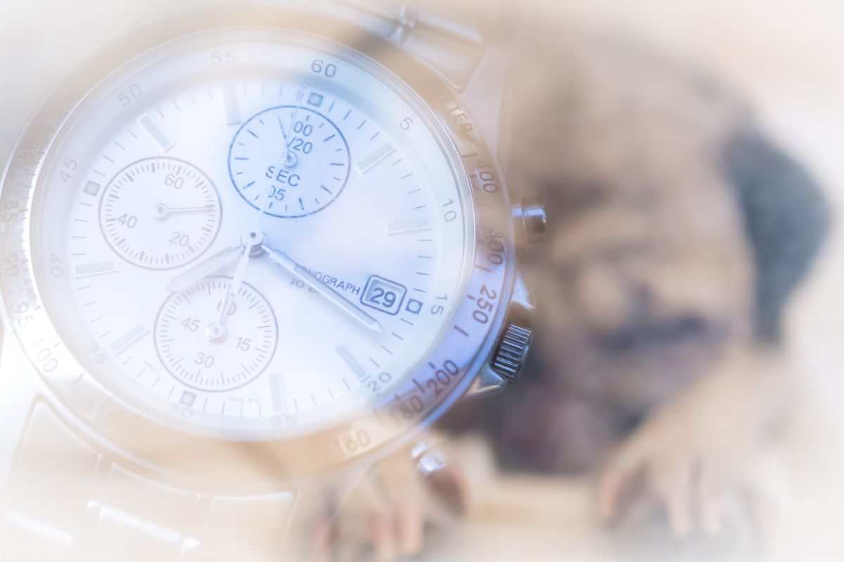 What Time is Your Love?? | GANREF