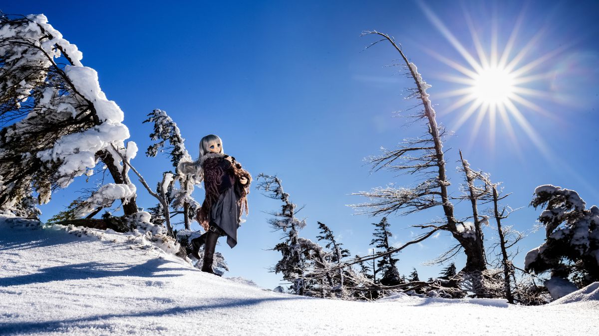 Winter Blue Sky | GANREF