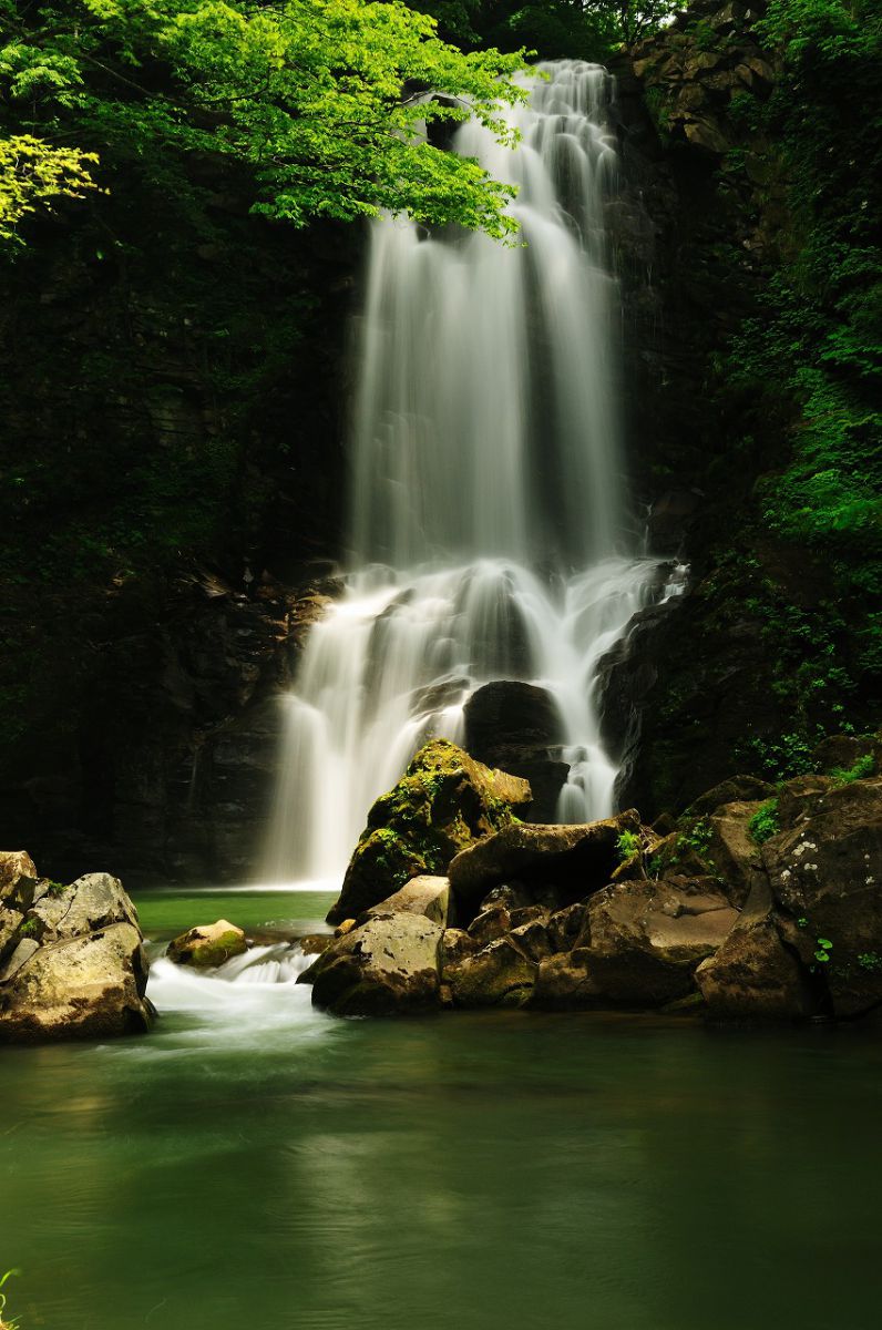 奈曽の白滝 GANREF
