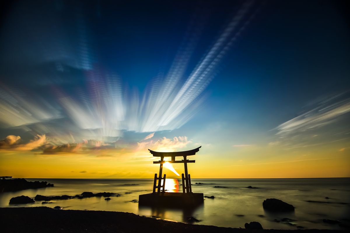 夕焼け鳥の休息 水鳥たちの夕暮れ | GANREF