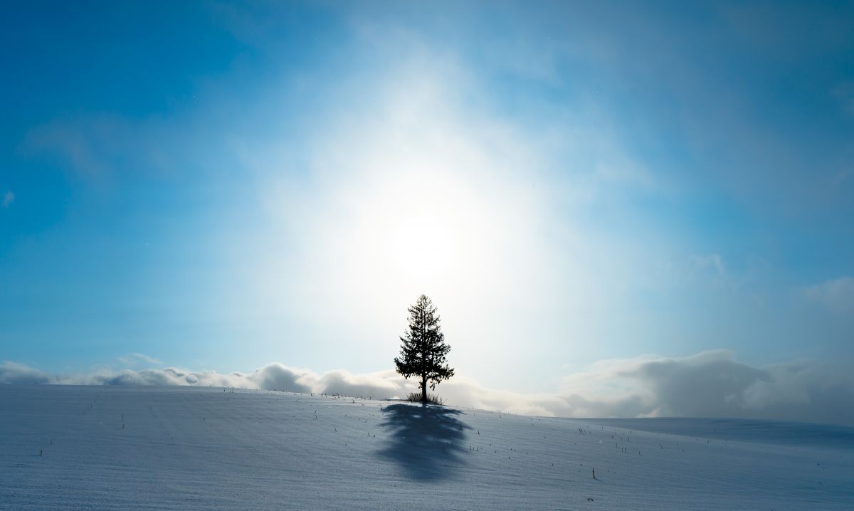 揺らめく冬の太陽 GANREF