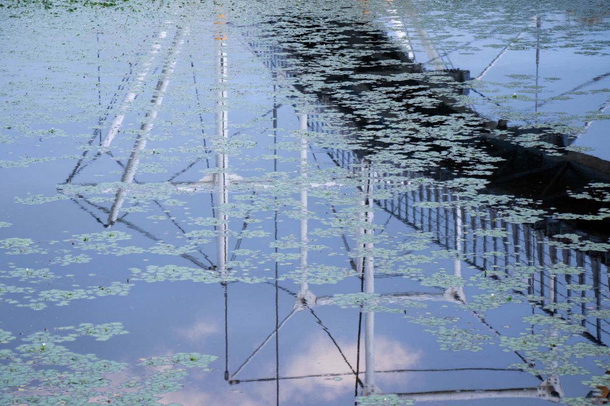 水彩画の風景 ボートと水面の反射 Transparent watercolor painting] How to paint the water