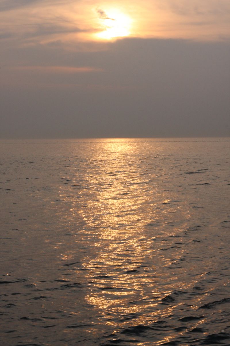Mirror of nature | GANREF